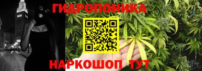 шишки Нальчик