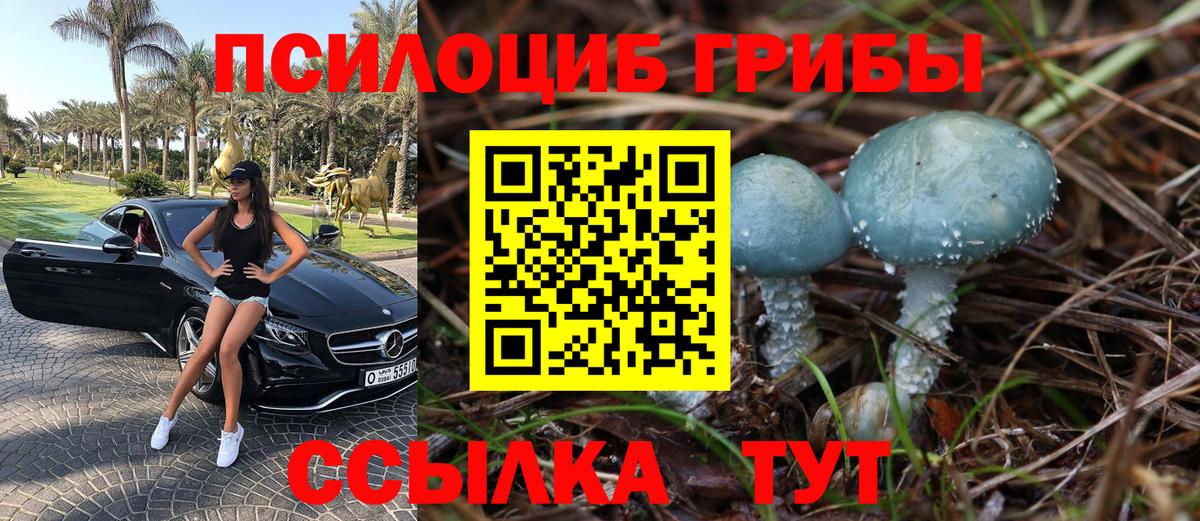 Сосновый Бор  Галлюциногенные грибы мицелий  Вход с VPN  Псилоцибиновые грибы мухоморы 