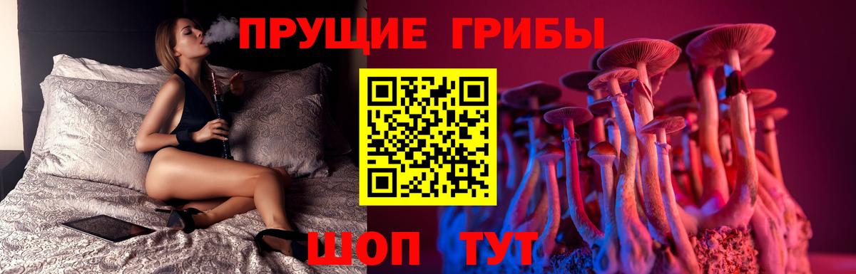 Галлюциногенные грибы MAGIC MUSHROOMS Сосновый Бор